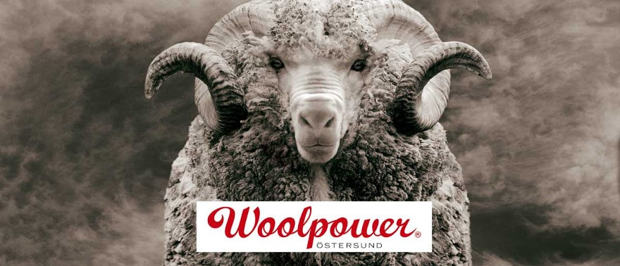 Ein Widder schaut in die Kamera. Darunter das Logo von Woolpower.