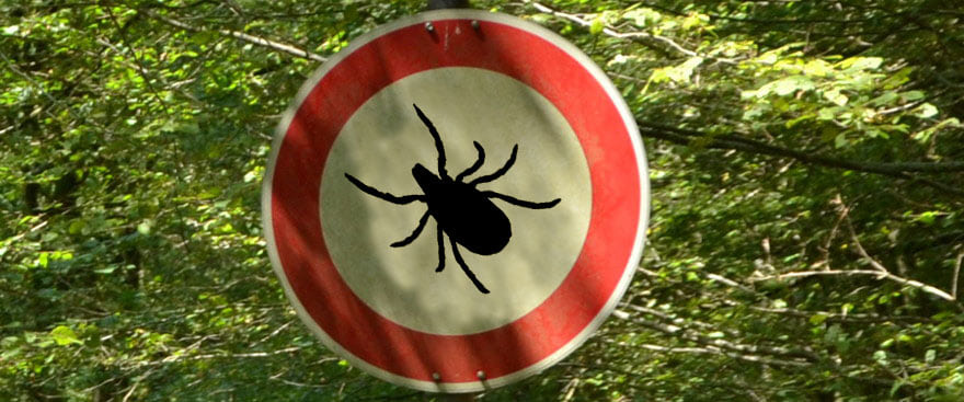 Ein rundes Schild mit rotem Rand und Zecke in der Mitte vor einem Wald.