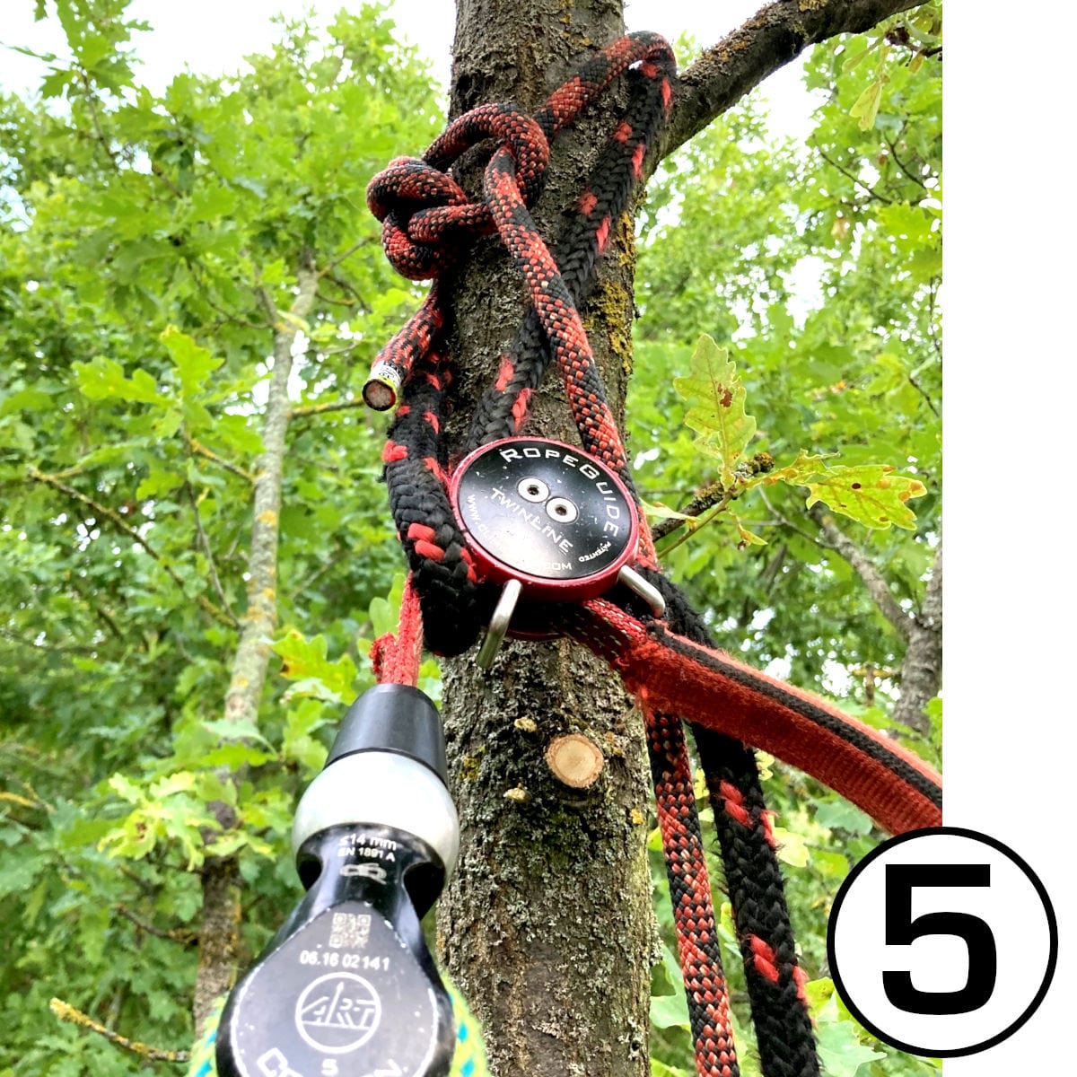 Kletterset Grote als Ankerpunkt in einem Baum eingebaut.