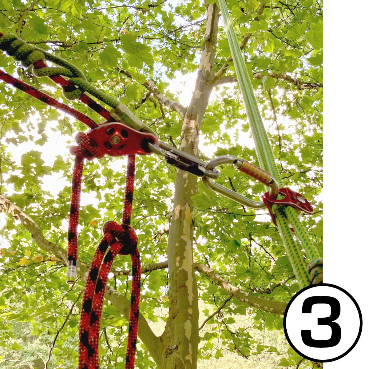 Kletterset Grote ist als längenverstellbare Umlenkung in einem Baum (Platane) eingebaut.