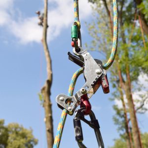 SpiderJack hängt an einem bunten Kletterseil in der Luft.