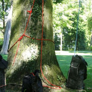 Rotes Aufstiegsseil ist an einem Stamm festgemacht.