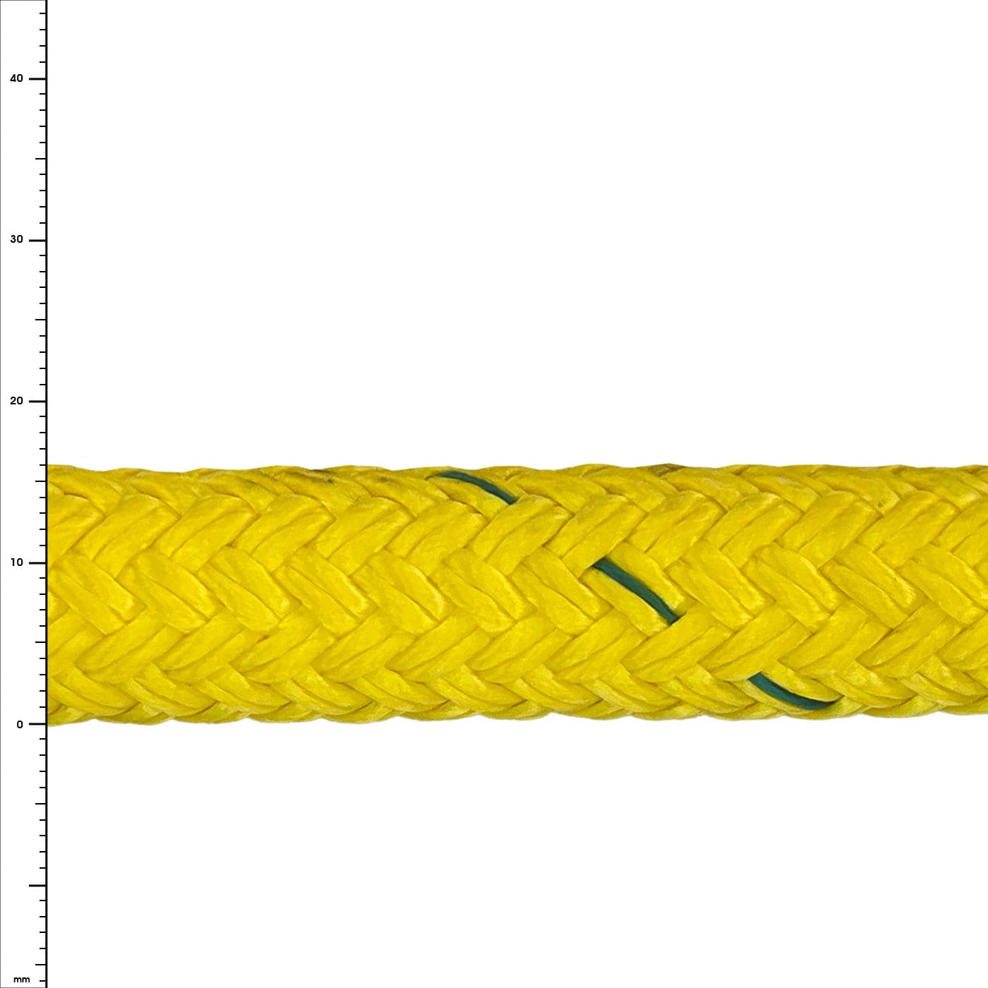 Arborist Bullenseil Polyester – 1,9 Cm X 30,5 M, Hochfest, Für Baumzüge & Baumarbeiten