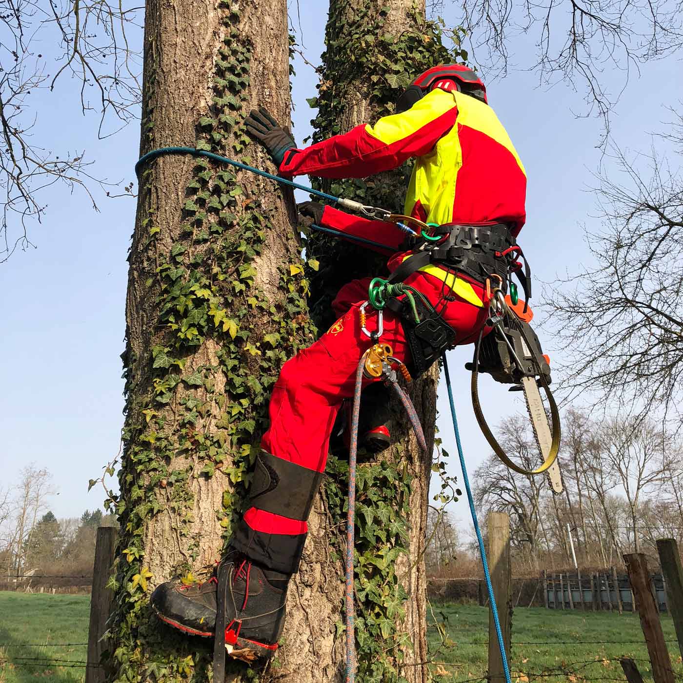 Francital | Arborist Xlight