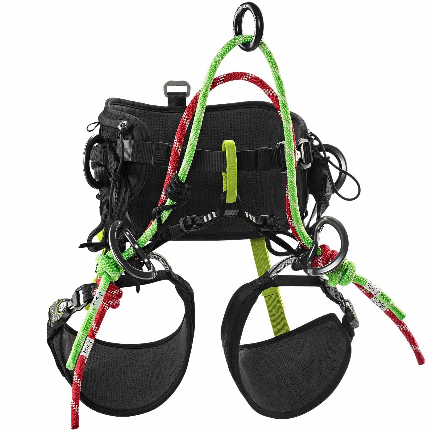 Edelrid | TreeRex II Tree Climbing Harness