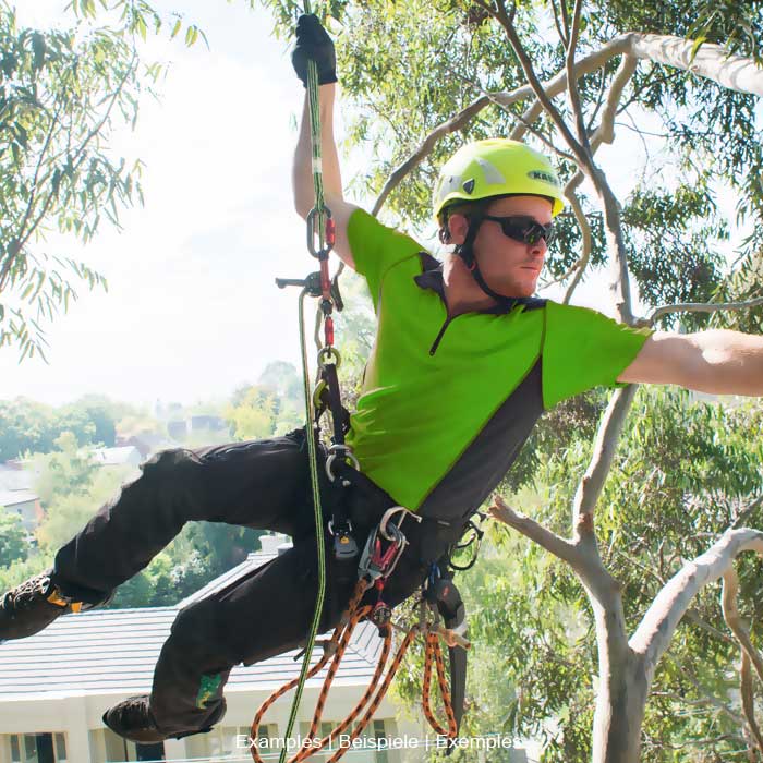 Person mit grünem Helm und grünem T-Shirt, die an einem Baum mit Kletterausrüstung und Seilen hängt