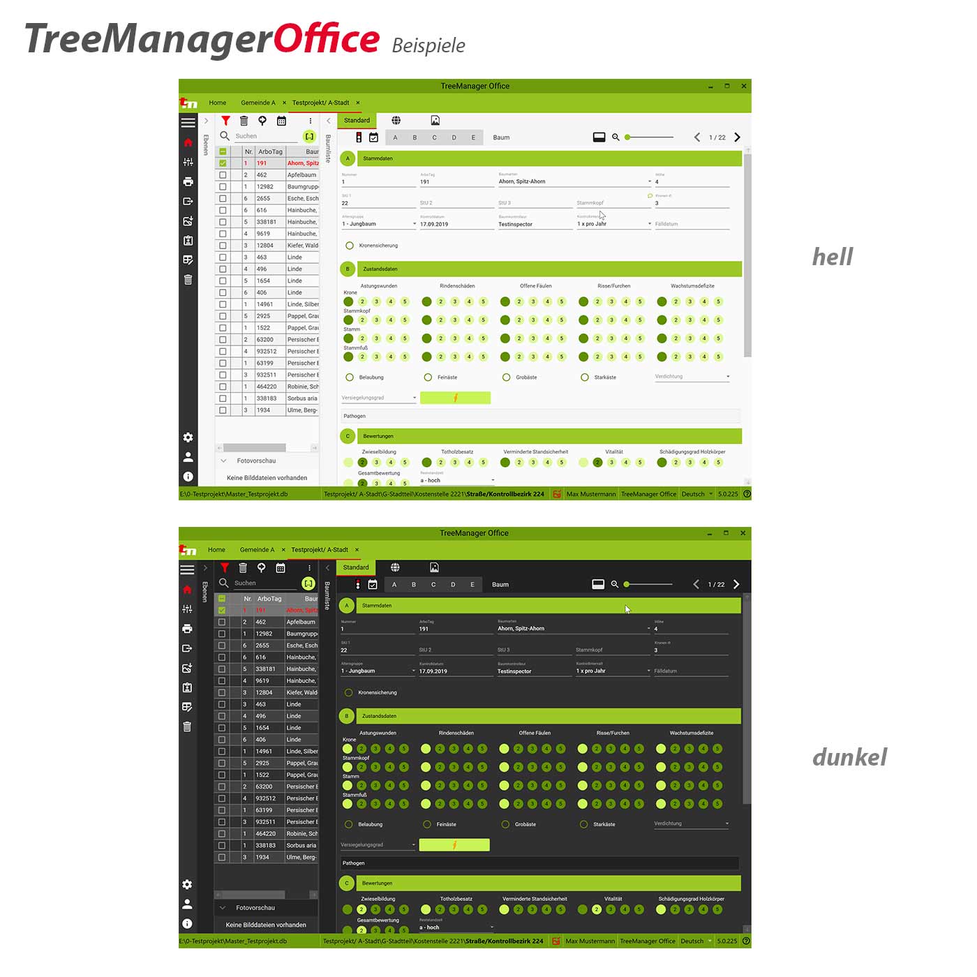 TreeManager Office (weiterer Arbeitsplatz)