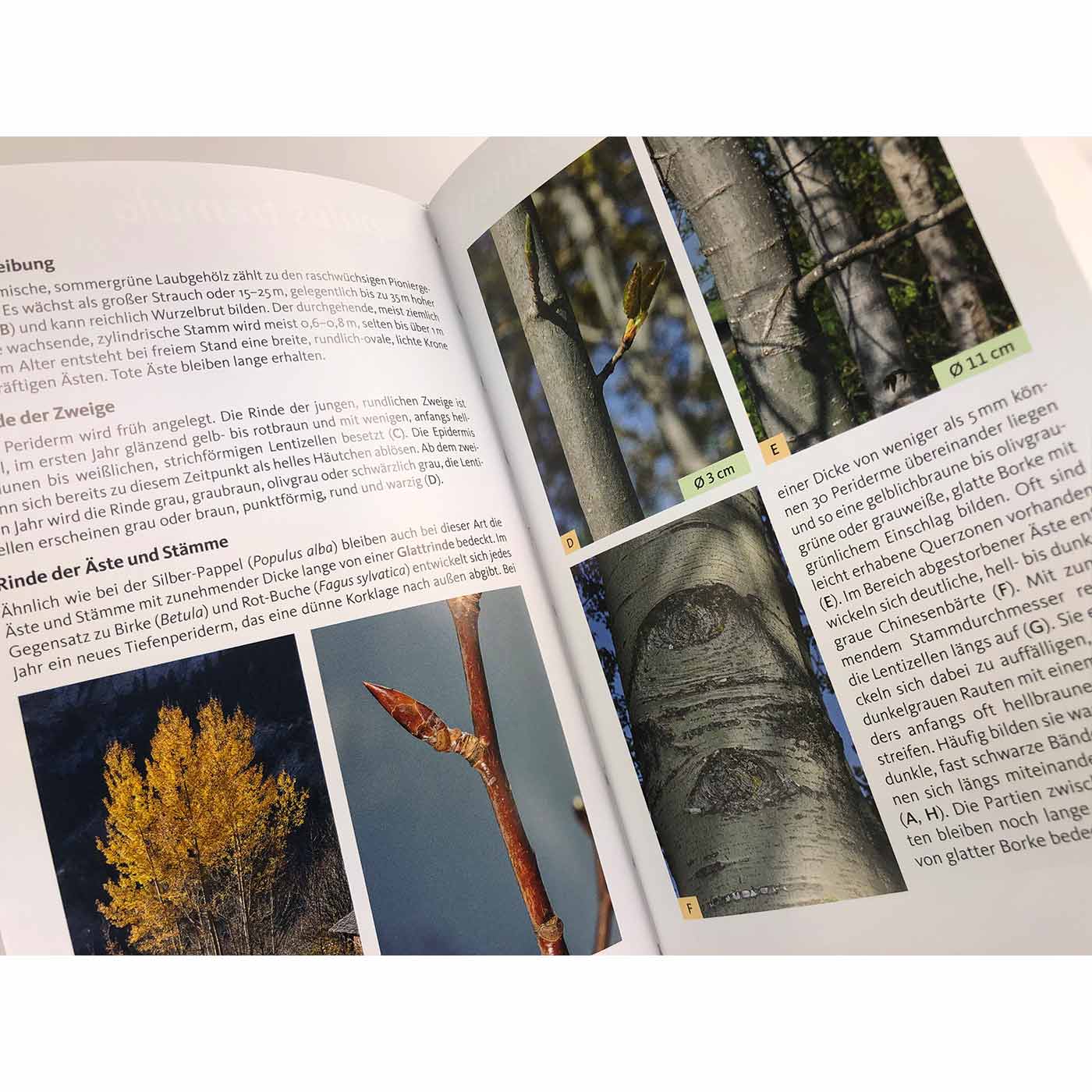 Geöffnete Buchseiten von "Die Rinden unserer Bäume" mit Text und mehreren Fotos von Baumzweigen und Baumstämmen