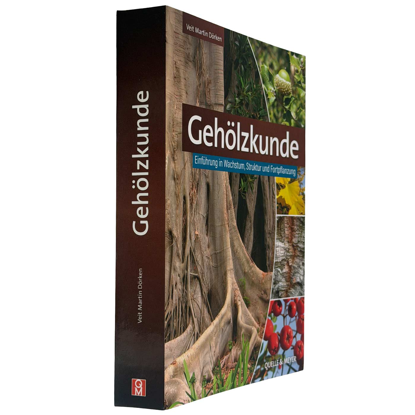 Gehölzkunde