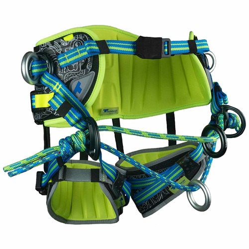 treeMOTION Pro Limited Edition
