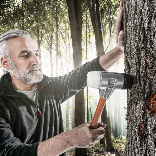 Mann mit grauem Bart und schwarzer Jacke hält den Simplex Schonhammer 370 an einen Baumstamm im Wald