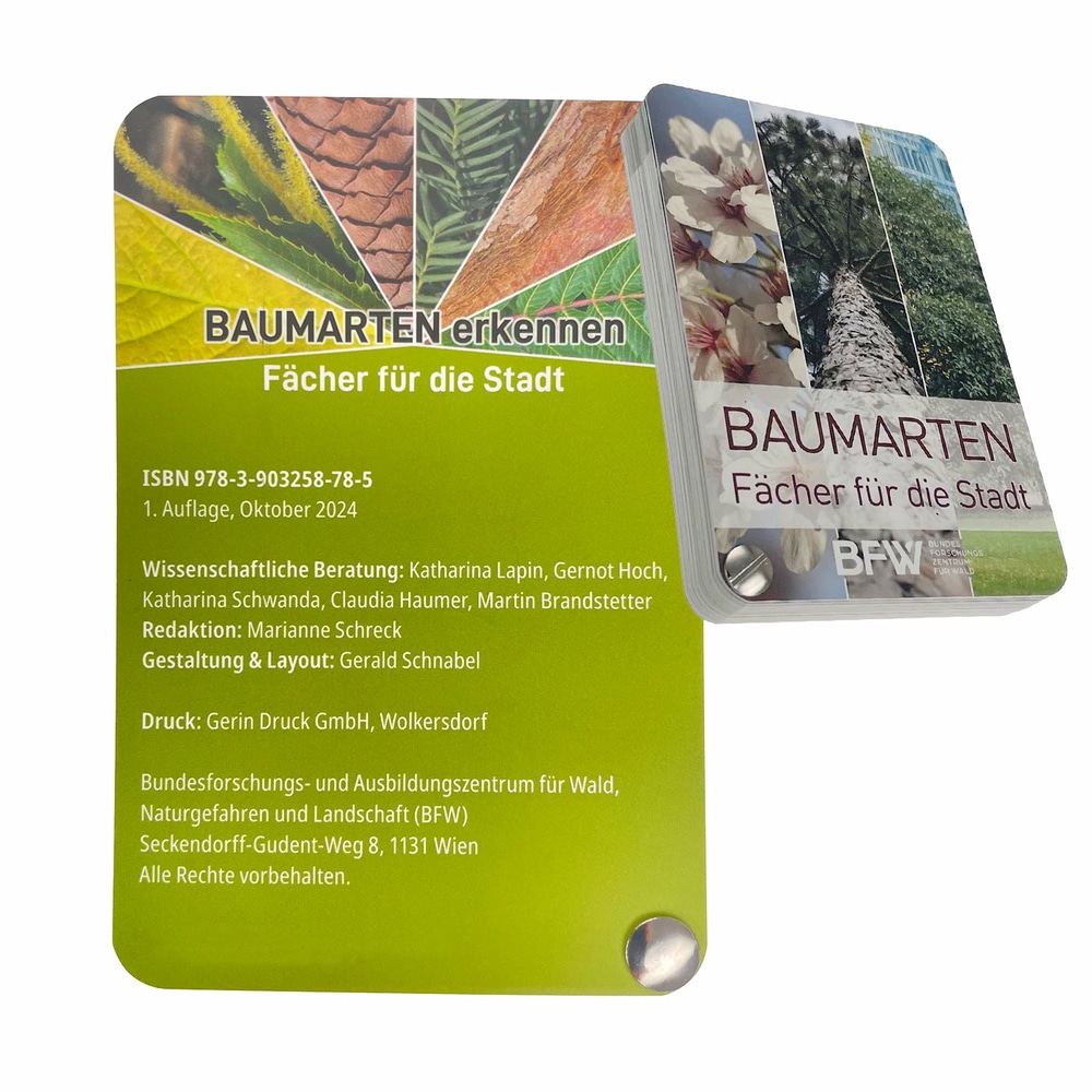 Rückseite des Fächers Baumarten - Fächer für die Stadt mit grünem Hintergrund, ISBN, wissenschaftliche Beratung und Druckinformationen, Hersteller BFW Bundesforschungszentrum für Wald