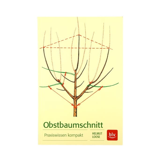 Obstbaumschnitt Praxiswissen kompakt von Helmut Loose, Buchcover mit Baumzeichnung und Schnittlinien, Verlag blv