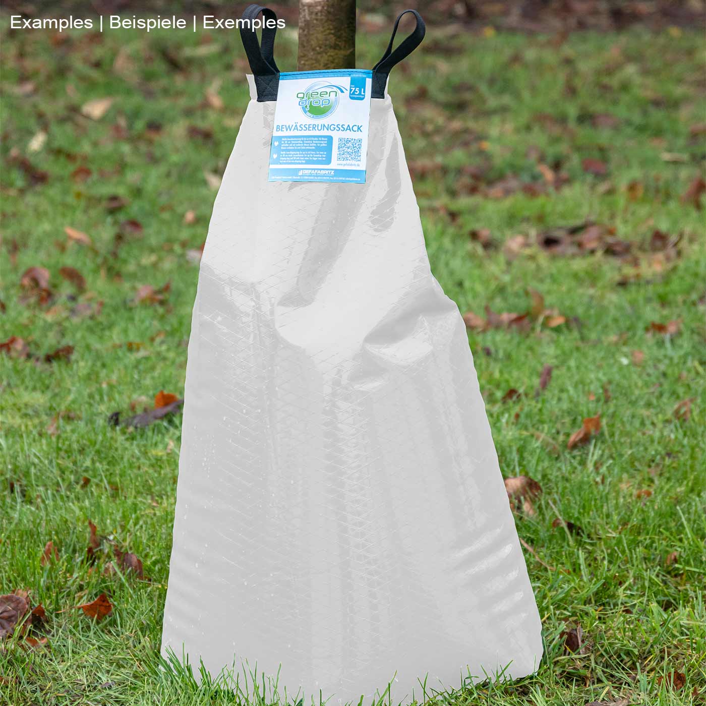 Greendrop White Bewässerungssack in Weiß steht auf grünem Gras, mit zwei schwarzen Trageschlaufen und blauem Etikett oben in der Mitte, umgeben von herbstlichen Blättern auf dem Boden