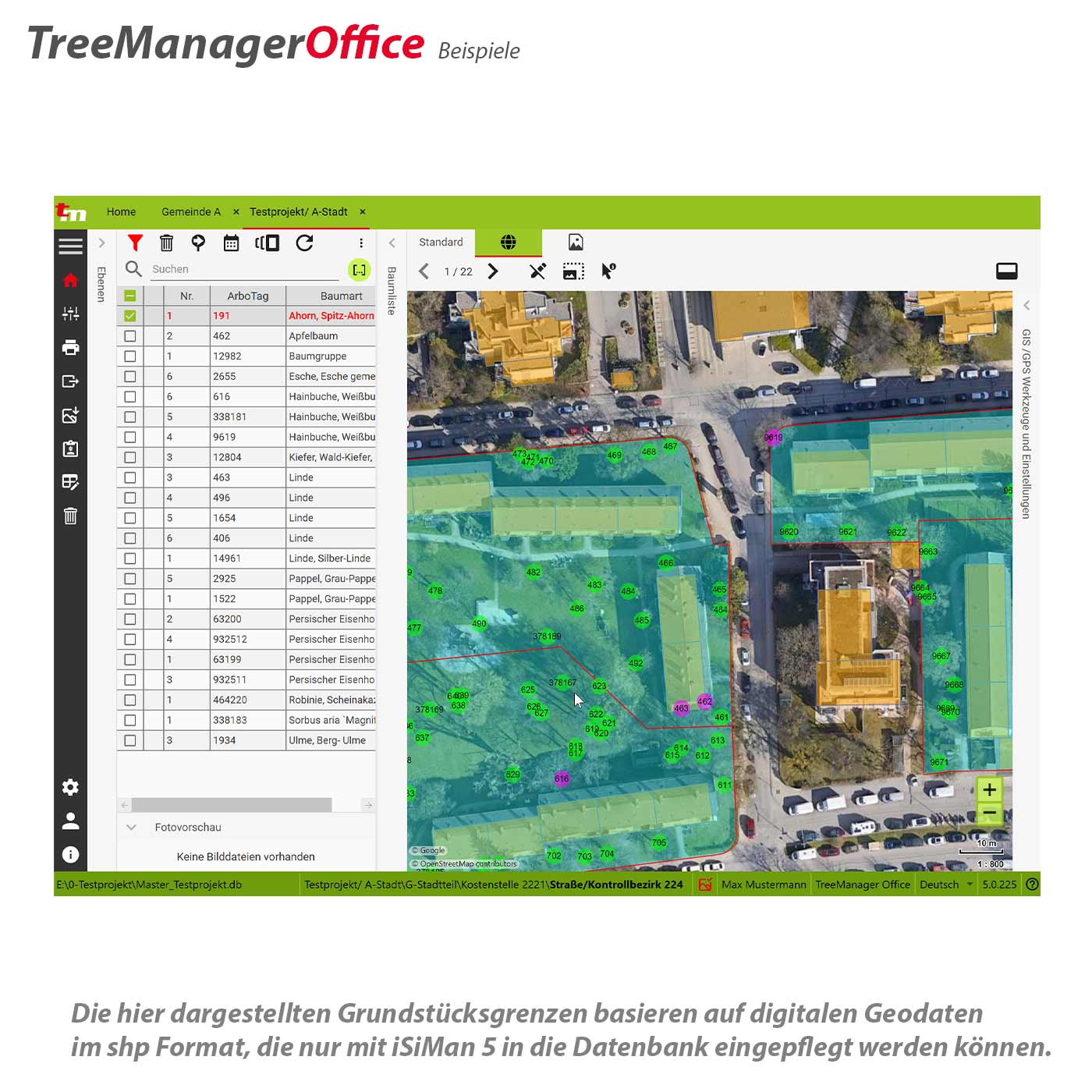 TreeManager 2.0 Basislizenz