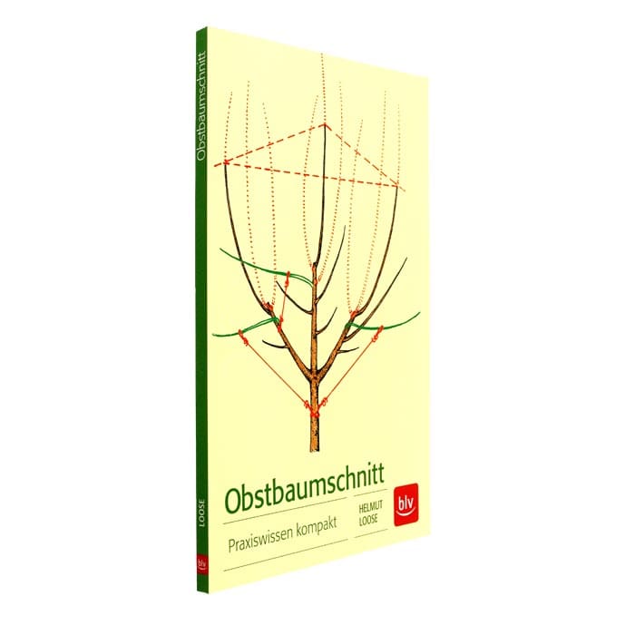 Obstbaumschnitt Praxiswissen kompakt von Helmut Loose, Buchrücken und Cover mit Baumzeichnung und Schnittlinien, Verlag blv