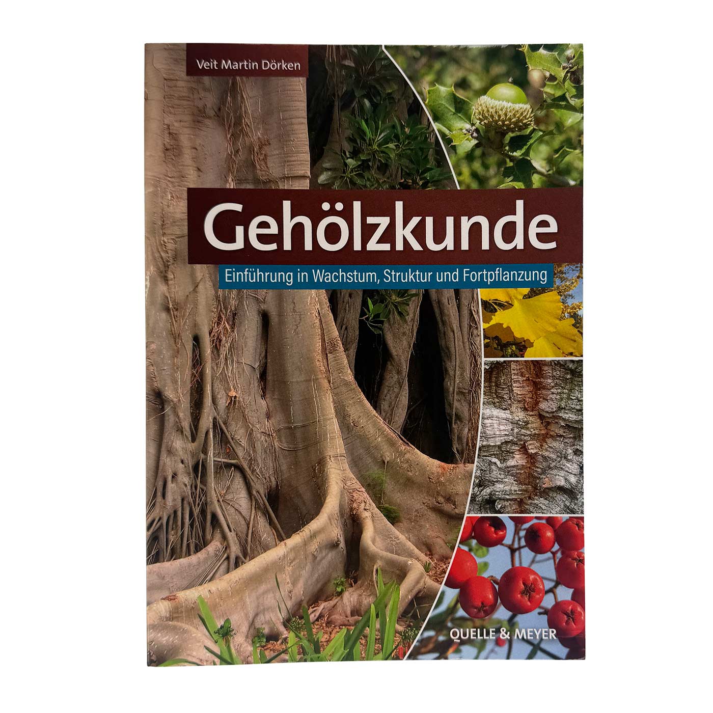 Gehölzkunde