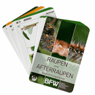 Raupen und Afterraupen Bestimmungsfächer mit Bildern von Raupen und Text, Hersteller BFW Bundesforschungszentrum für Wald