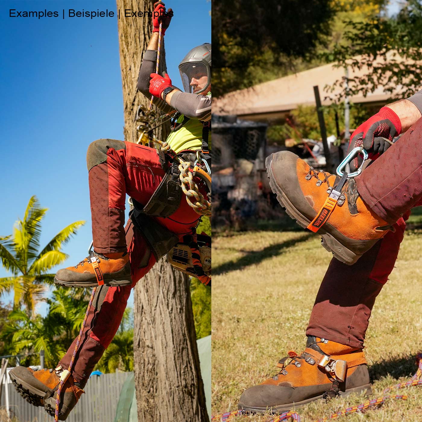 Zwei Fotos zeigen eine Person mit orangefarbenen Schuhen und roten Hosen, die den Foot Loop 1 von Reecoil an den Füßen trägt, eine Aufnahme beim Klettern an einem Baum, die andere Aufnahme zeigt den Foot Loop 1 am Fuß mit einem Karabinerhaken befestigt.