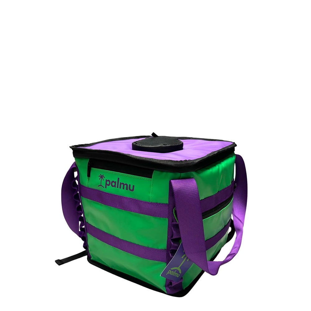 Palmu 17