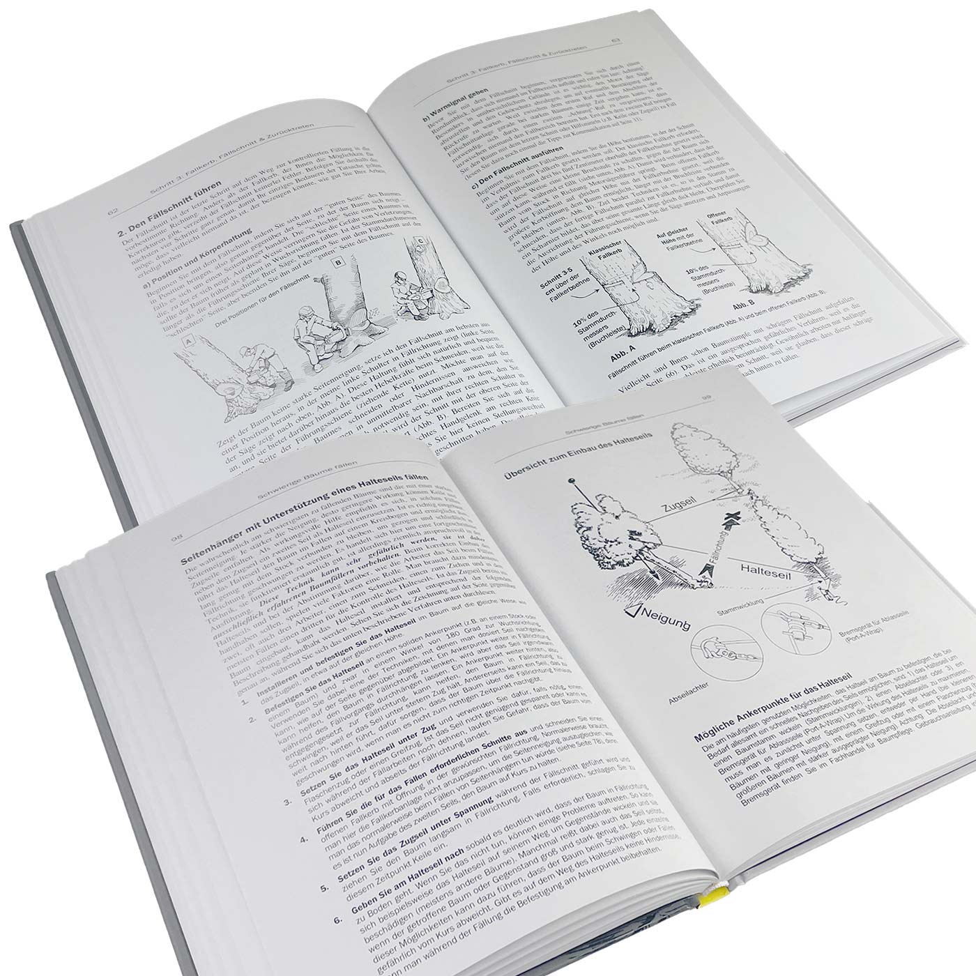 Buch "Die Kunst, einen Baum zu fällen" von Jeff Jepson mit Illustrationen von Bryan Kotwica, geöffnete Seiten mit Text und Zeichnungen zu Fälltechniken