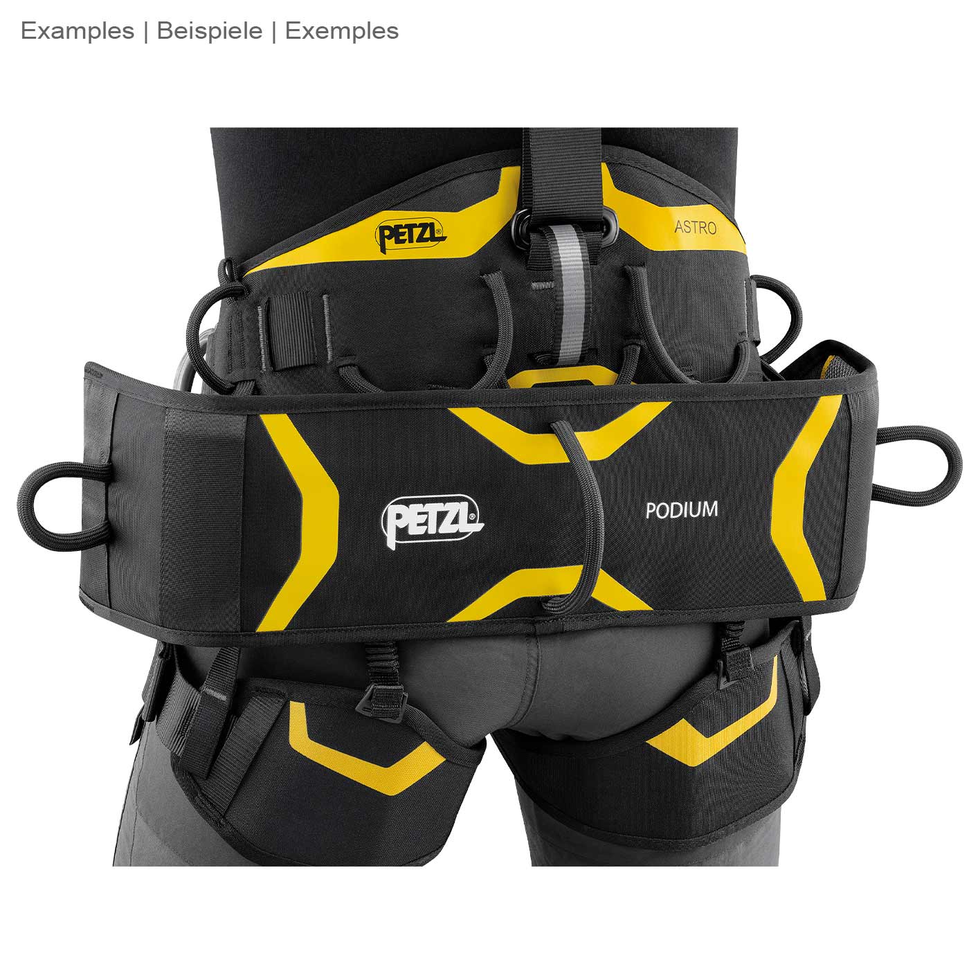 Podium von Petzl, schwarze und gelbe Hüftgurte mit dem Schriftzug Petzl und Podium, getragen von einer Person von hinten