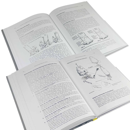 Buch "Die Kunst, einen Baum zu fällen" von Jeff Jepson mit Illustrationen von Bryan Kotwica, geöffnete Seiten mit Text und Zeichnungen zu Fälltechniken