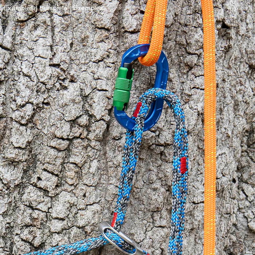 karaT Karabiner in Blau mit grünem Schraubverschluss, befestigt an einem Baum mit orangefarbener und blauer Kletterleine