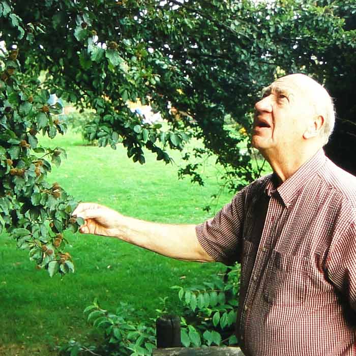 Älterer Mann mit kariertem Hemd steht vor grünem Baum und schaut nach oben, rechte Hand hält einen Ast