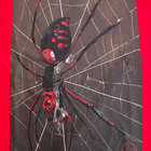Nahaufnahme des Spinnenaufdrucks auf dem roten ART Spider Shirt, die Spinne hat schwarze und rote Farben und sitzt auf einem weißen Spinnennetz auf dunklem Hintergrund