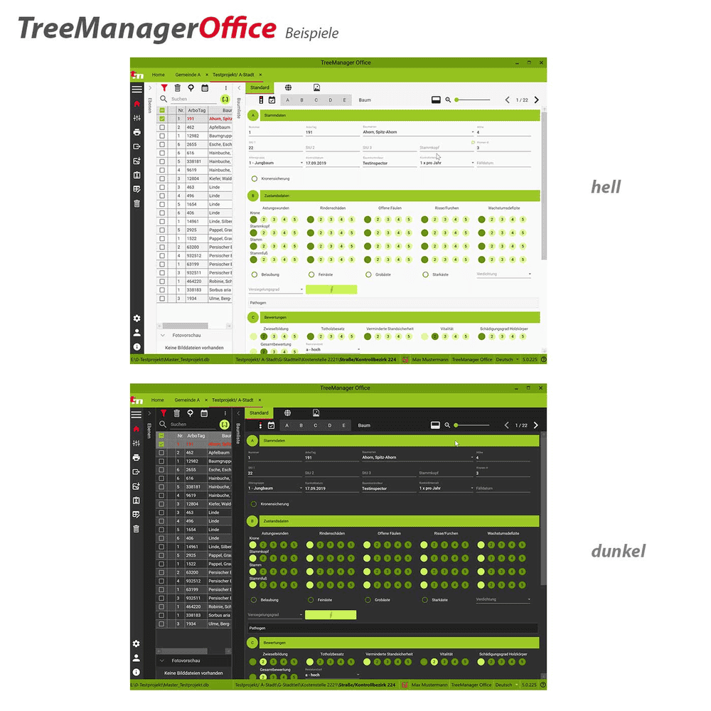 TreeManager 2.0 Basislizenz