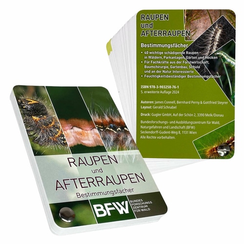 Vorder- und Rückseite des Raupen und Afterraupen Bestimmungsfächers mit Textinformationen und Bildern von Raupen, Hersteller BFW Bundesforschungszentrum für Wald