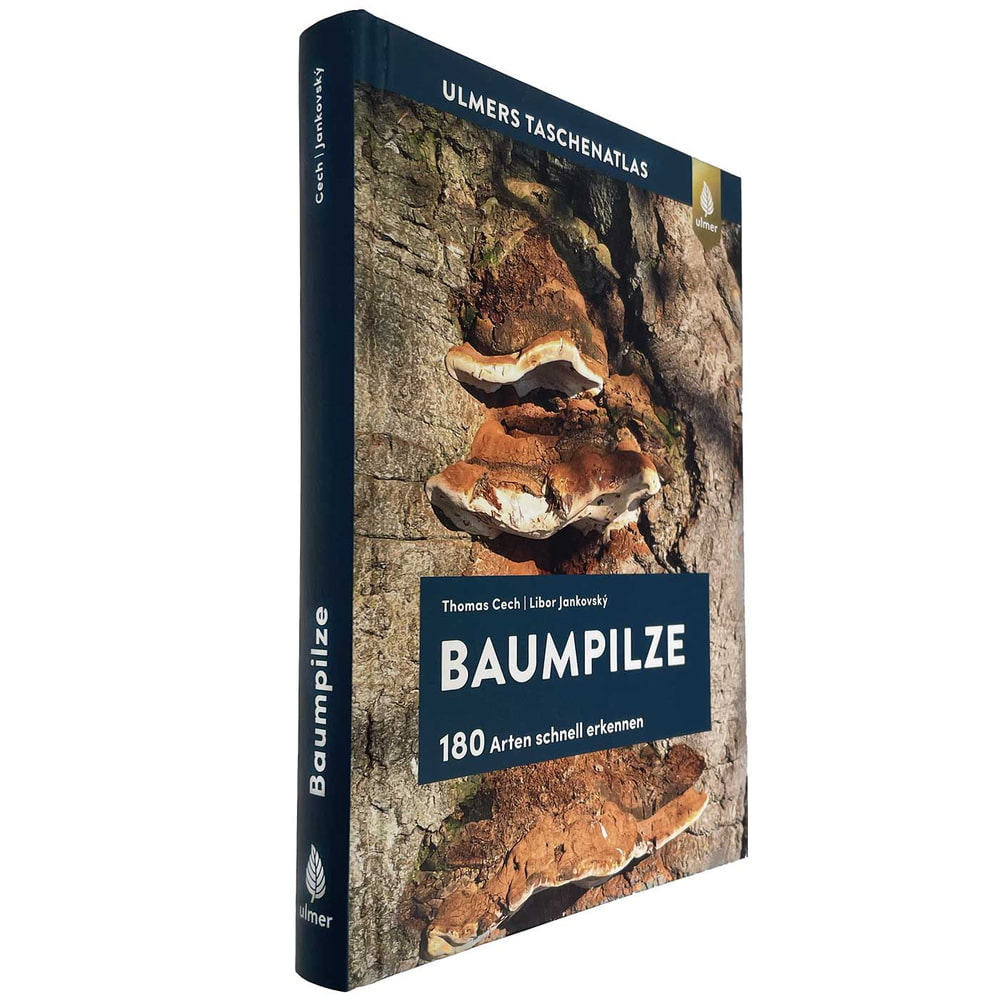 Buch Baumpilze von Thomas Cech und Libor Jankovský, Verlag Ulmer, seitliche Ansicht mit braunen Baumpilzen auf Baumrinde