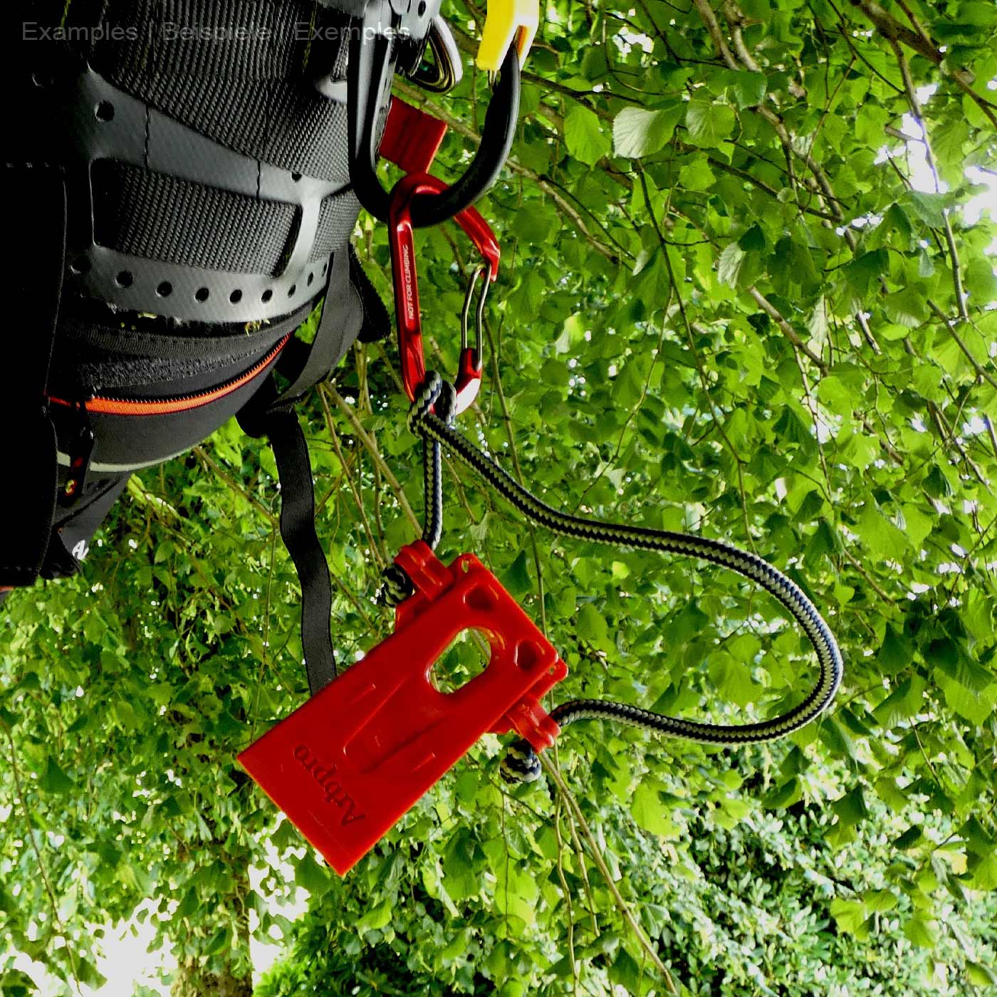 Arborist Micro Wedge von Arbpro, rotes Kunststoffkeilgerät mit grünem Seil und rotem Karabiner, hängend an schwarzem Gurtzeug vor grünem Laubhintergrund