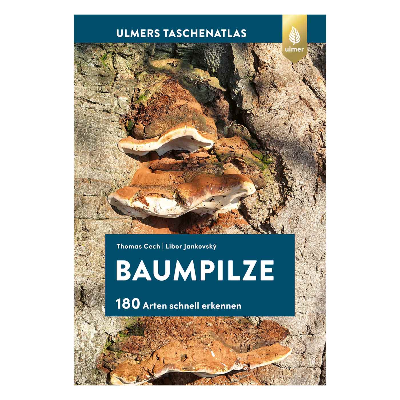Buch Baumpilze von Thomas Cech und Libor Jankovský, Verlag Ulmer, zeigt braune Baumpilze auf Baumrinde