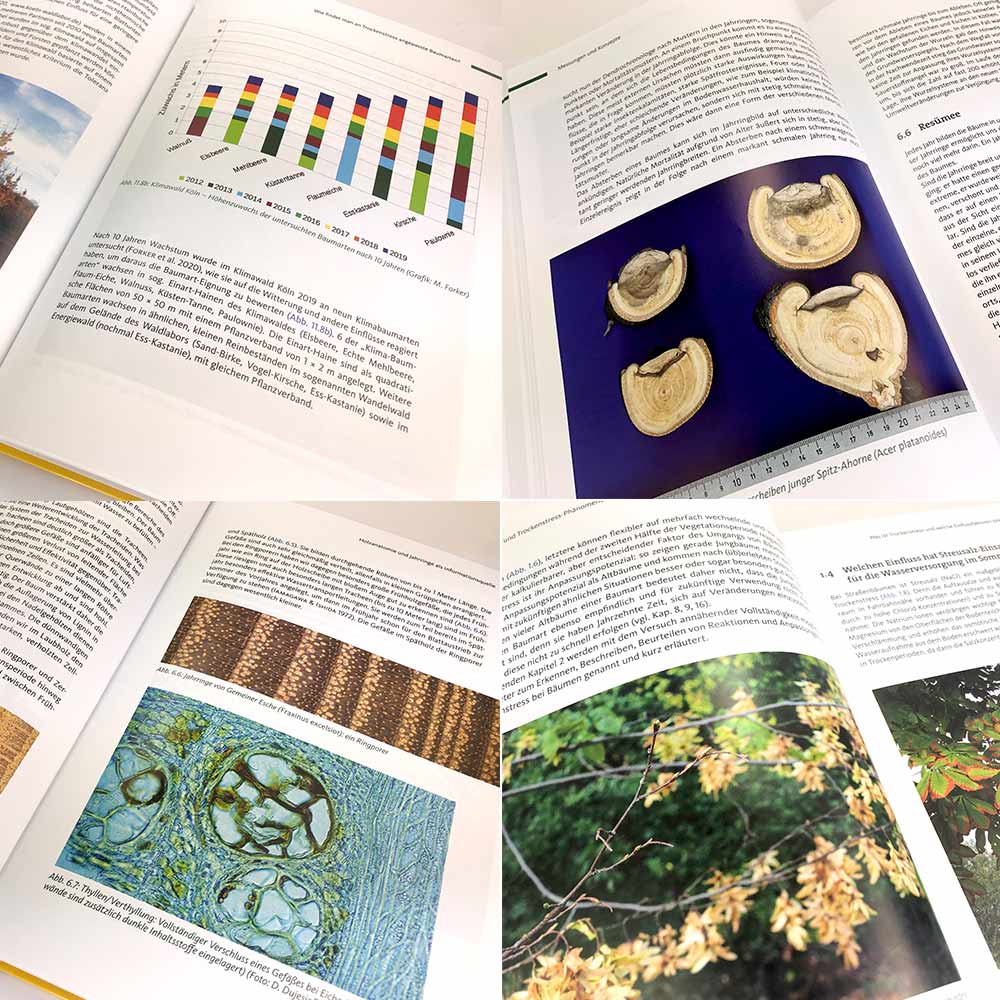 Geöffnete Buchseiten mit Text, Diagramm und Fotos von Baumquerschnitten und Blättern, keine weiteren Herstellerangaben sichtbar