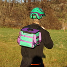 Palmu 17