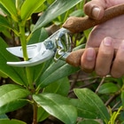 Berger C1760 Gartenschere mit braunen Griffen in einer Hand, schneidet grüne Pflanze, Herstellername und Modellnummer sichtbar auf der Klinge