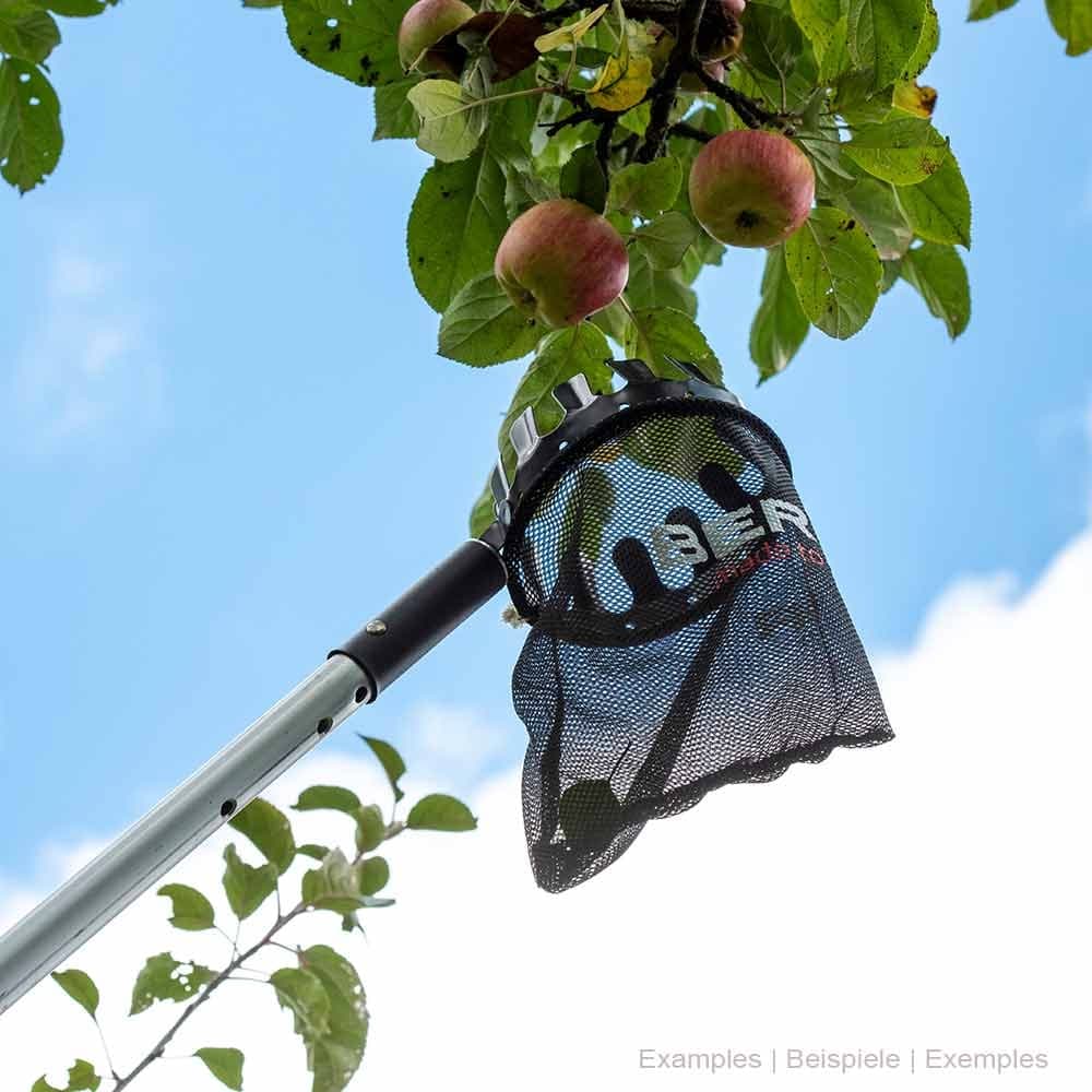 ArboRapid Obstpflücker mit langem Stiel, schwarzem Netzbeutel und Metallkrone, im Hintergrund Äste mit roten Äpfeln und blauem Himmel