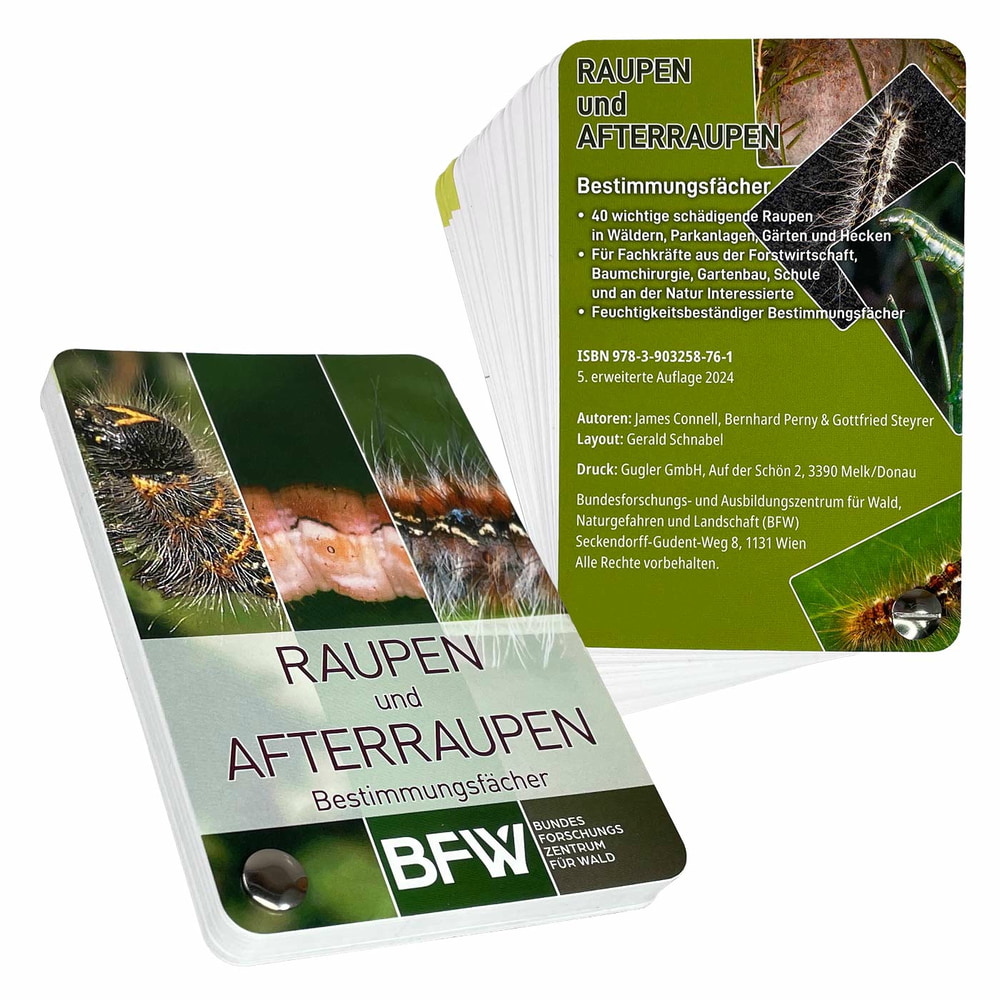 Vorder- und Rückseite des Raupen und Afterraupen Bestimmungsfächers mit Textinformationen und Bildern von Raupen, Hersteller BFW Bundesforschungszentrum für Wald