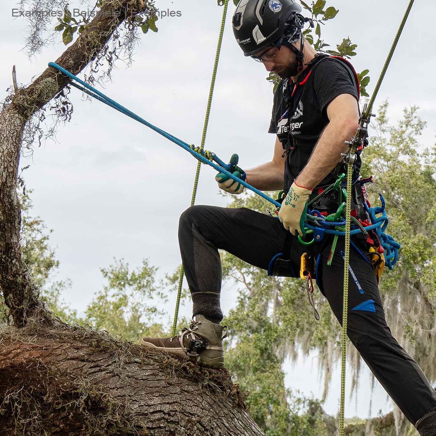 Mann mit Helm und Handschuhen klettert an Baum, trägt schwarzes T-Shirt mit Aufschrift, nutzt blaues Seil hipSTAR Glide 11,5