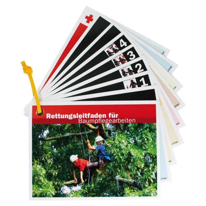 Rettungsleitfaden für Baumpflegearbeiten, gefächerte Anleitungskarten mit rotem Kreuz und Bildern von zwei Personen in Kletterausrüstung an einem Baum, Hersteller nicht sichtbar