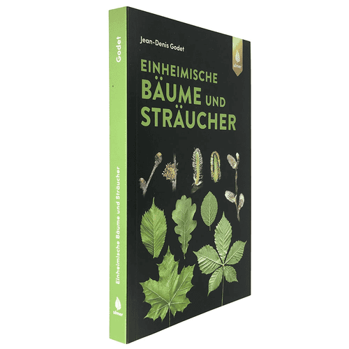 Buch Einheimische Bäume und Sträucher von Jean-Denis Godet mit schwarzem Einband, grünem Titeltext, grünem Buchrücken und Abbildungen von Blättern und Knospen, Verlag Ulmer