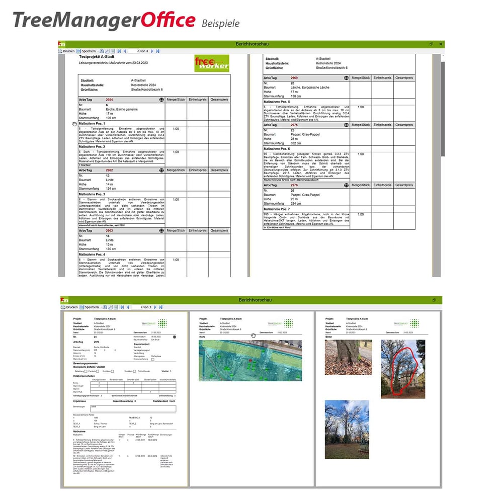 TreeManager 2.0 Basislizenz