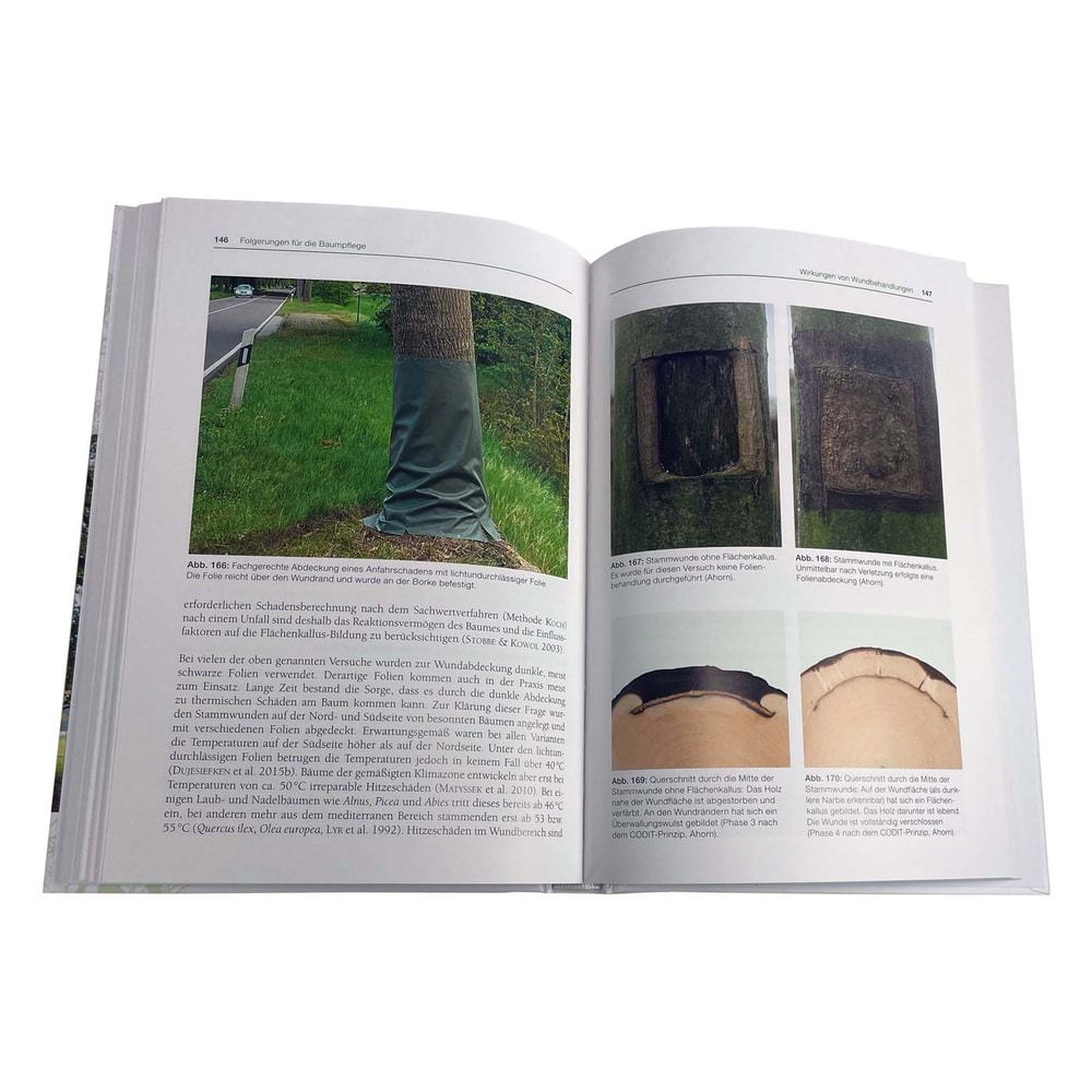Aufgeschlagenes Buch "Das CODIT Prinzip – Baumbiologie und Baumpflege" mit Text und fünf Bildern von Baumstämmen und Baumrinden