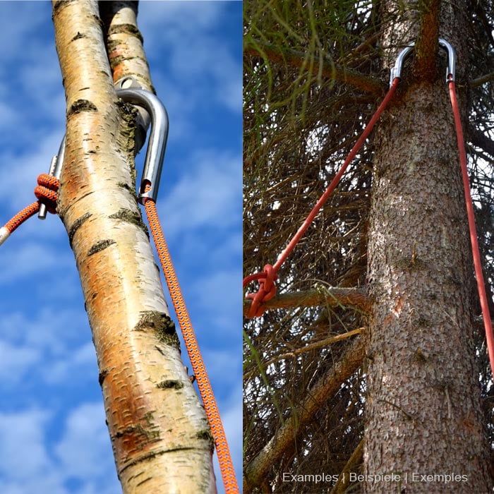 Zwei nebeneinander gezeigte Fotos mit Approach Wurfhaken aus Metall, der an Baumstämmen mit orangenem Seil befestigt ist, blauer Himmel im Hintergrund
