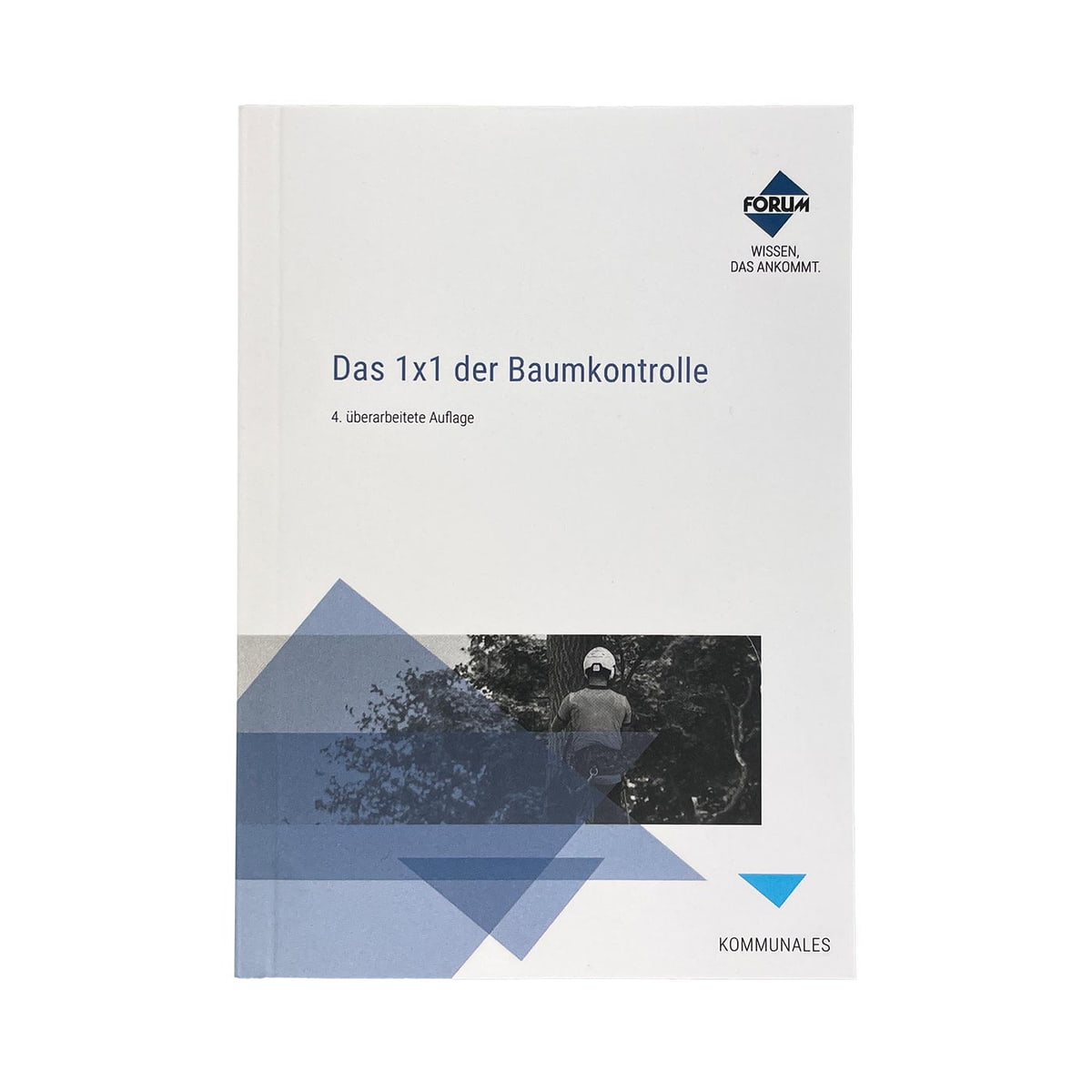 Das 1 x 1 der Baumkontrolle