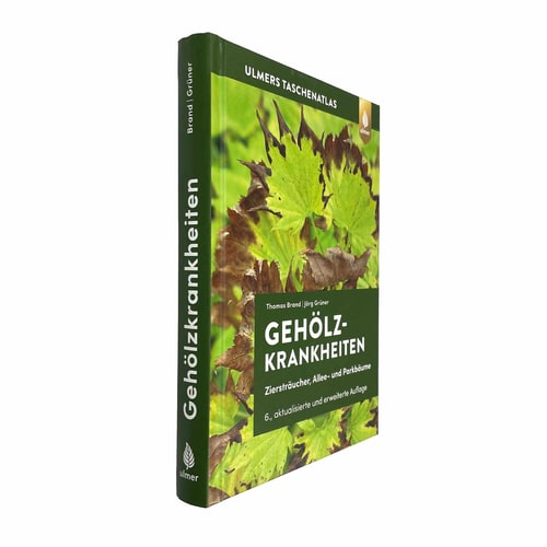 Buch Farbatlas Gehölzkrankheiten von Thomas Brand und Jörg Grüner, Verlag Ulmer, grüne Buchrückseite mit Titel und Autorenname, leicht schräg fotografiert