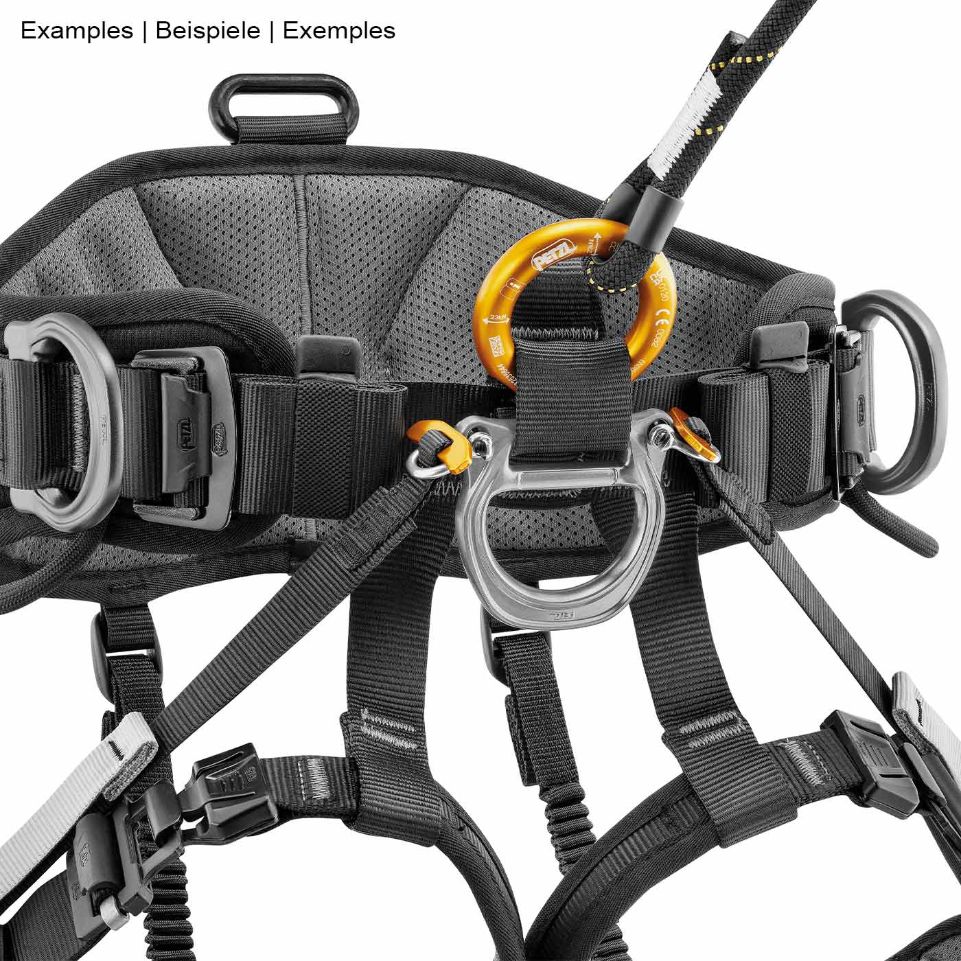 Schwarzer Klettergurt mit mehreren schwarzen und grauen Gurten, zwei Metallringen und einem orangen Karabiner, Produktname Testkarabiner 250715DL nicht sichtbar auf dem Bild
