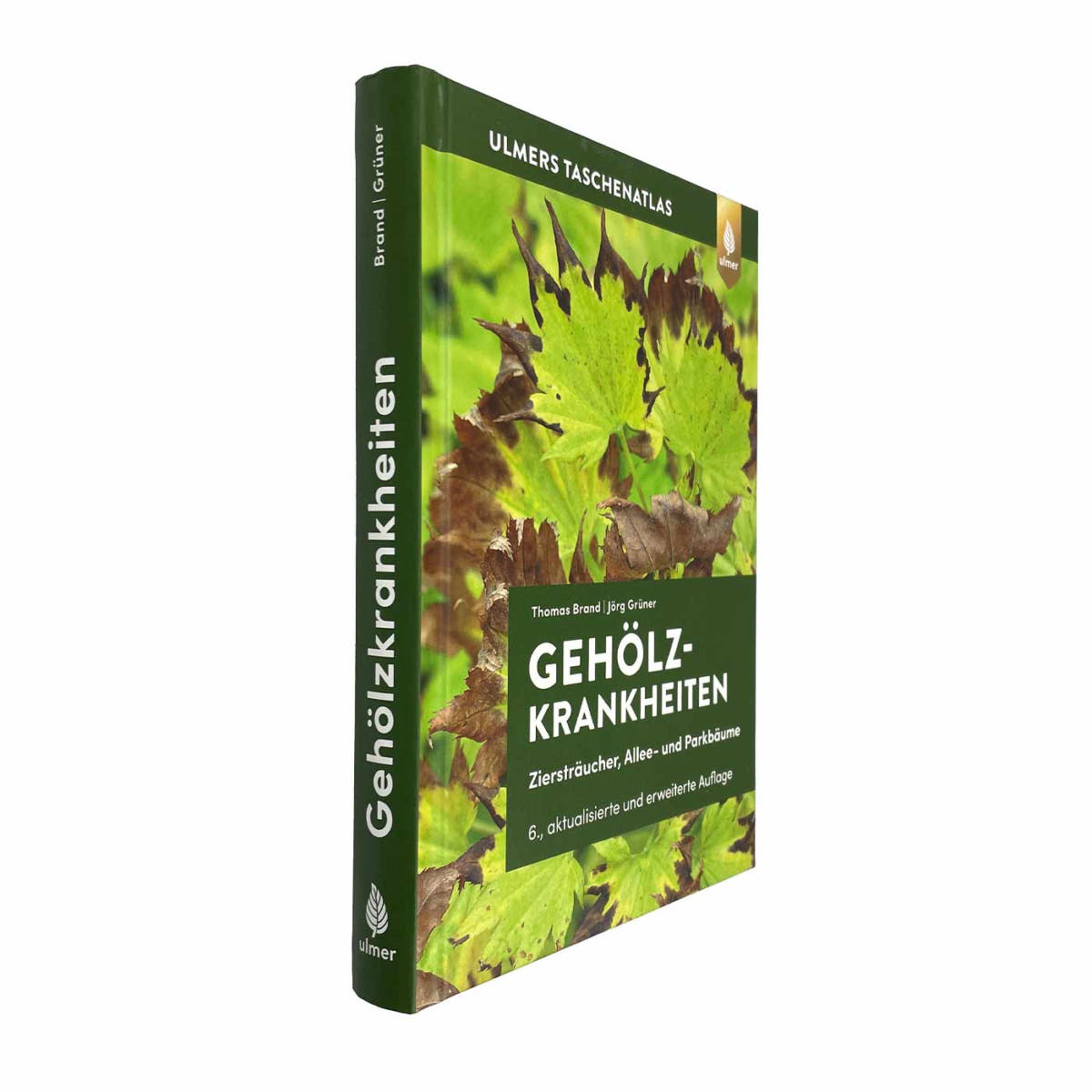 Buch Farbatlas Gehölzkrankheiten von Thomas Brand und Jörg Grüner, Verlag Ulmer, grüne Buchrückseite mit Titel und Autorenname, leicht schräg fotografiert